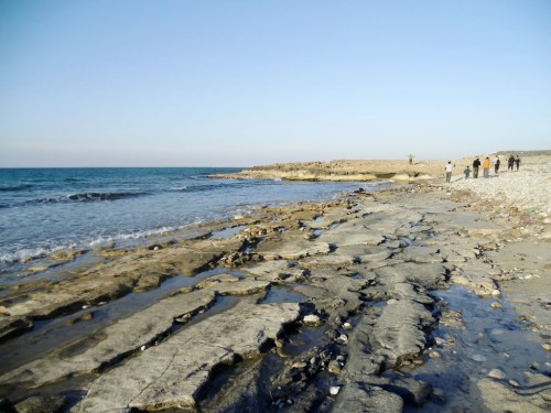 Dipkarpaz (107)
